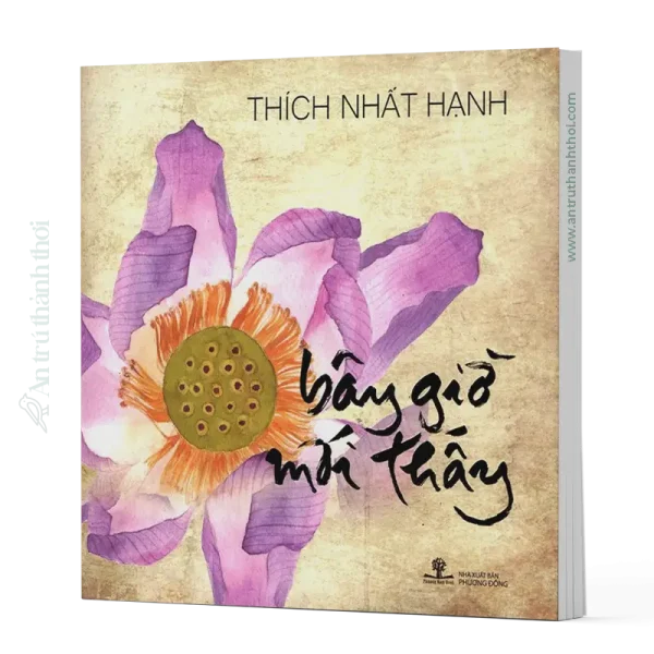 sách Bây giờ mới thấy - Thích Nhất Hạnh